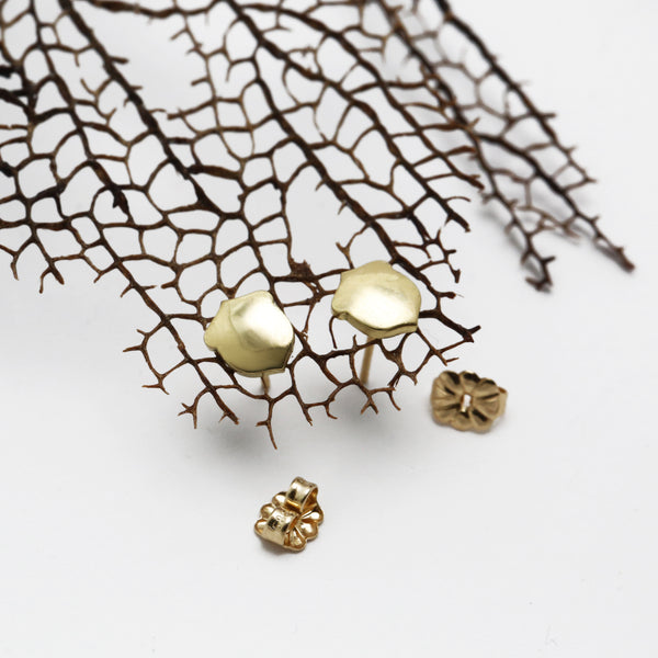 Gold Acorn Stud Earrings