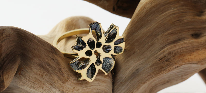 Gold Sweetgum Slice Ring