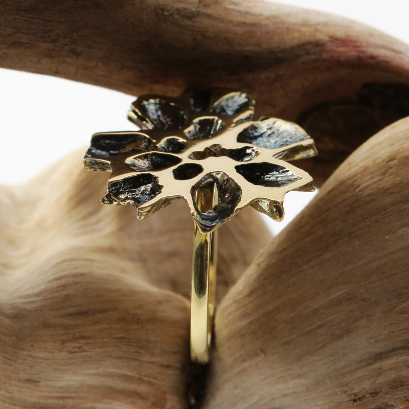 Gold Sweetgum Slice Ring