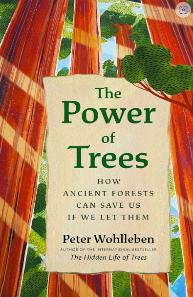 The Power of Trees--How Ancient Forests Can Save Us if We Let Them