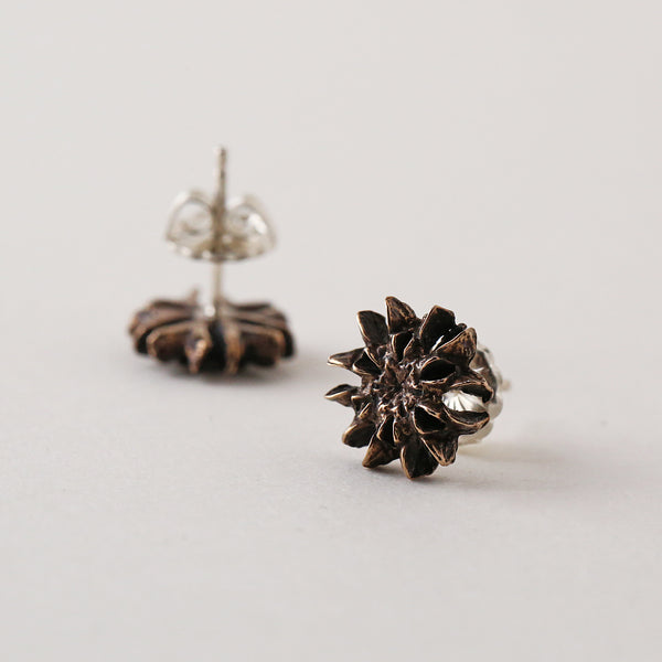 Warm Pinecone Snowflake Studs