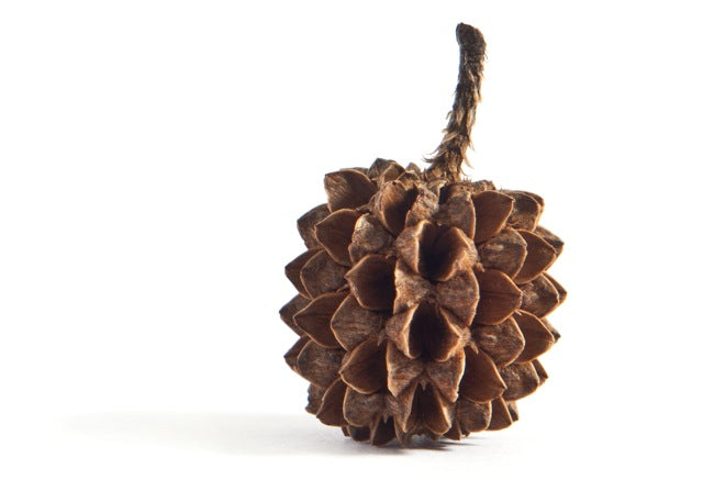 Gold Pinecone Stud Earring