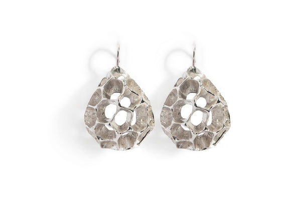 Sweet Gum Teardrop French Hook Earring