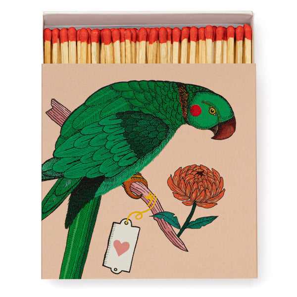 Ariane Parrot Matchbox